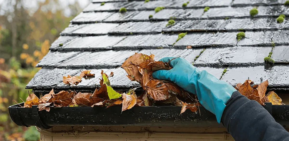 Gutter cleaning technician clearing wet leaves from roof gutters in Pasadena, CA